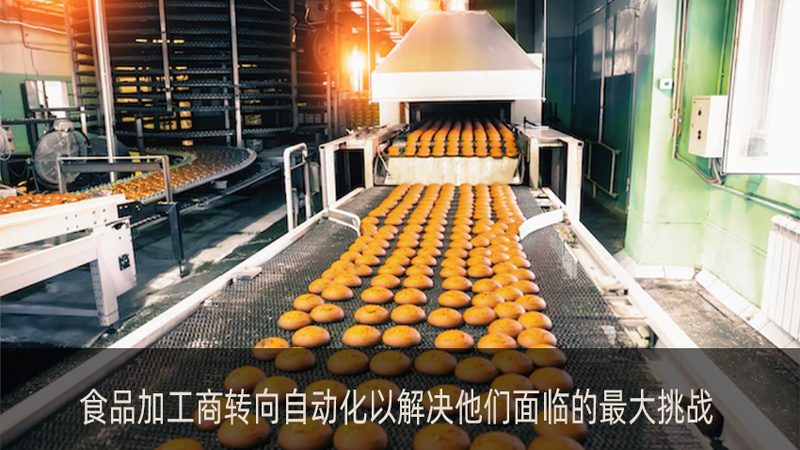 果蔬分拣清洗，全自动设备如何报价？**