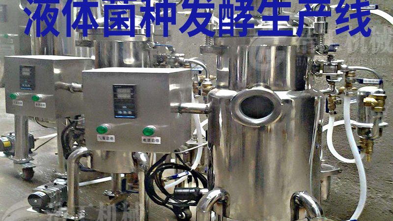 糖果机械：揭秘国内糖果机械厂家排名背后的考量因素